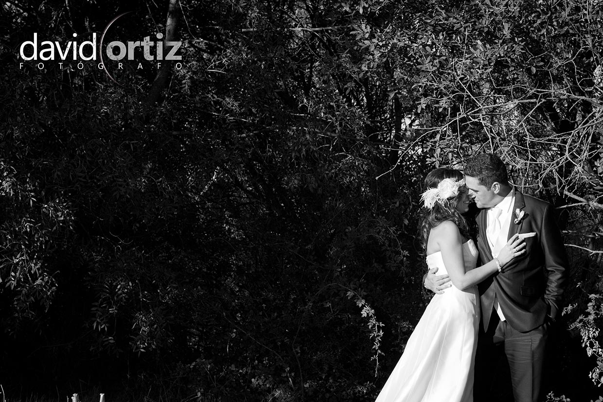 Fotografía y reportaje de la boda de Isarel y Eva, realizado por David Ortiz Fotógrafo en Salamanca